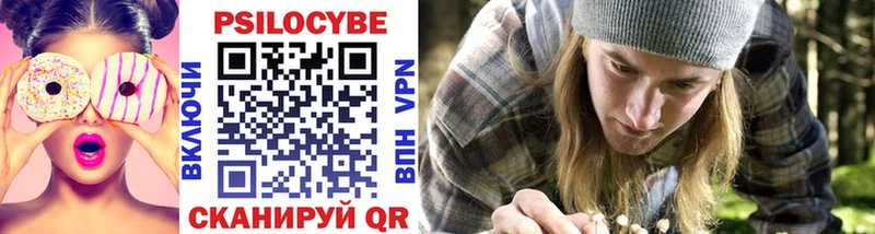 закладки  Удомля  Галлюциногенные грибы прущие грибы 